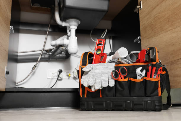 Best Plumbing Services Near Me  in Deer Park, TX